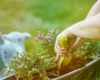 Plant deze bloembollen nu voor een kleurrijke lentetuin