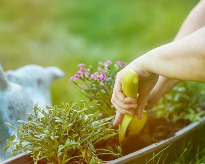 Plant deze bloembollen nu voor een kleurrijke lentetuin