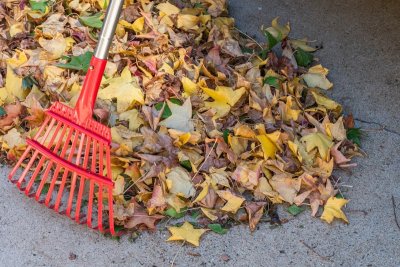 Deze tuinklussen bepalen of je tuin de winter overleeft