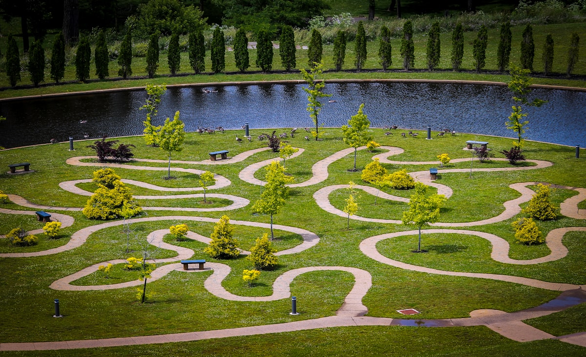 Zo maak je van je rechte tuin een organische oase